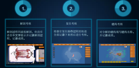 江苏淮安虚拟现实VR教学培训平台